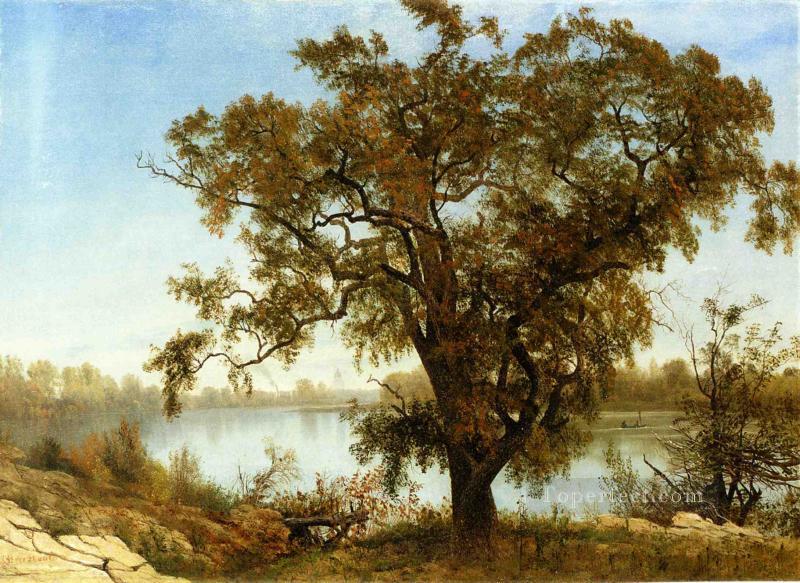 Una vista desde el río Sacramento Albert Bierstadt Paisajes Pintura al óleo
